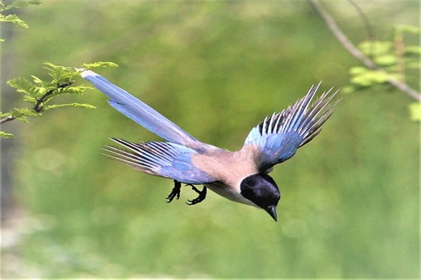 鼓励孩子的经典语句 鼓励孩子进步的话语(精选52句)