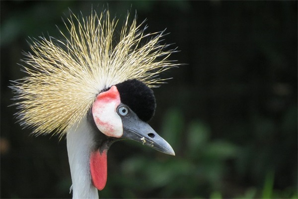 简单的一句话夸人短句 人生格言简单的一句话励志短句