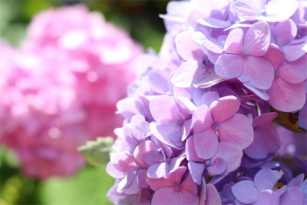 比赛的队名口号 厨艺比赛队名和口号(精选50句)