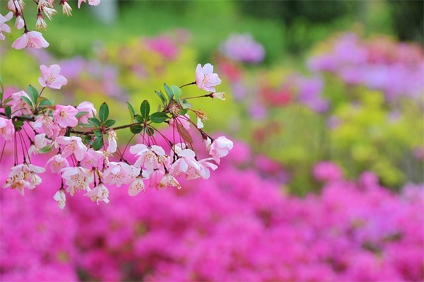 物业管理主管具体岗位职责内容(精选4篇)