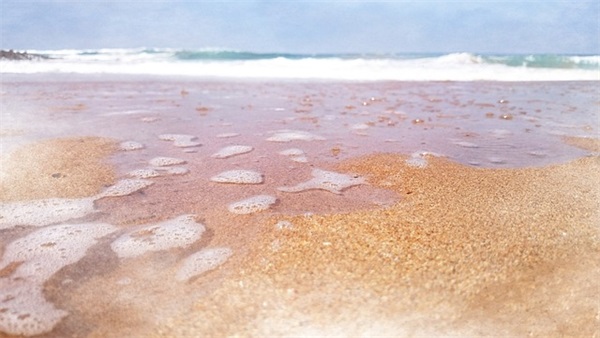 蚂蚁歇后语 蚂蚁的歇后语有哪些(精选81句)