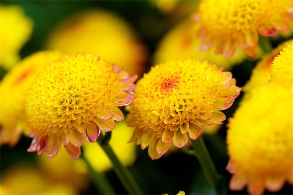 关于夏天的谚语(精选82句)