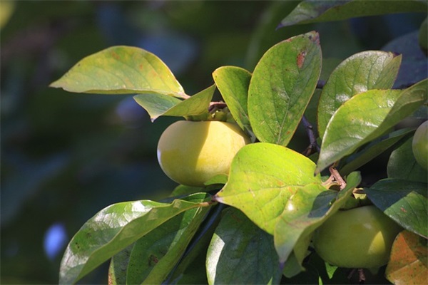 很暖很治愈的短句 一句话吸引人文案(精选60句)