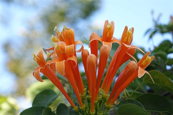 给员工的表扬信模板(精选3篇)