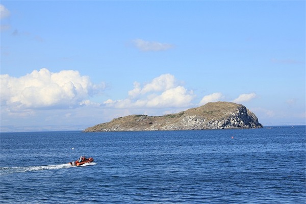 宝宝周岁生日宴请邀请短信 十周岁生日宴请邀请短信