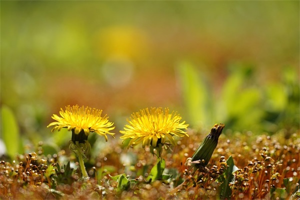 土味情话最暖心短句 给男生女生微微甜简短高级情话