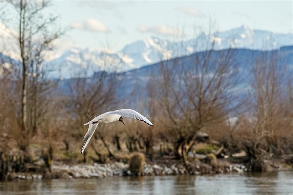 沙雕搞笑有趣生日文案(精选42句)