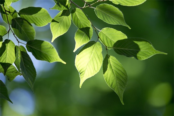 建筑副总经理岗位职责(精选4篇)