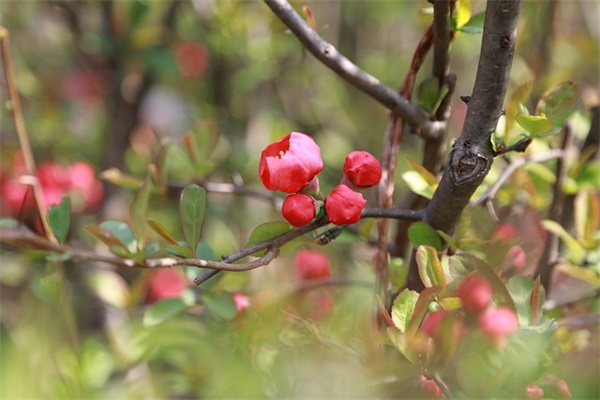 辞职告别同事的话语简单哲理(精选26句)