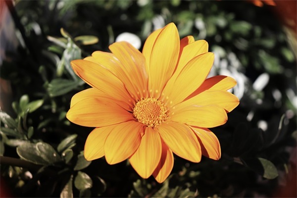 关于理的谚语 关于理的谚语有哪些?(精选73句)