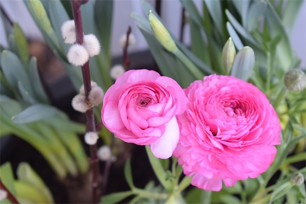 物业管理主管具体职责要求(精选4篇)