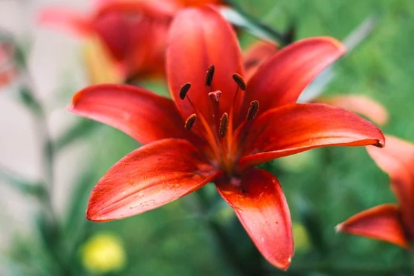 晚安心语简短一句话(精选27句)