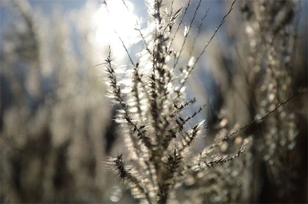 表白数字数 表白数字数22开头(精选106句)