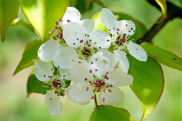 班级口号16字押韵励志 班级口号16字押韵励志