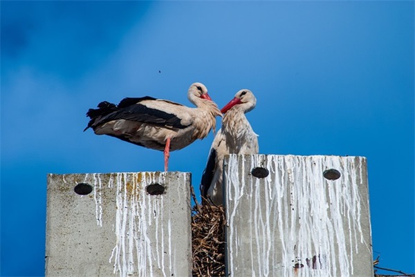 qq网名女生超拽霸气带符号 qq网名女生超拽霸气符号(精选100个)