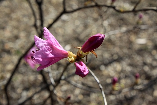 送给自己一个微笑的一句话(精选33句)