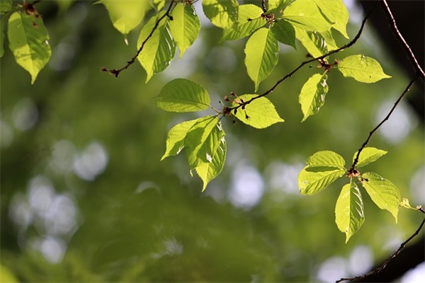 感情真心话问什么问题 真心话问什么增进感情