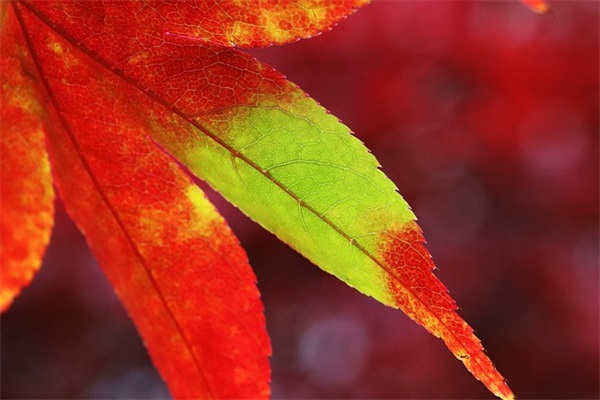 电气工长岗位职责(精选4篇)