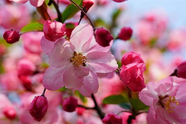 我们要谦虚不要骄傲的谚语(精选70句)