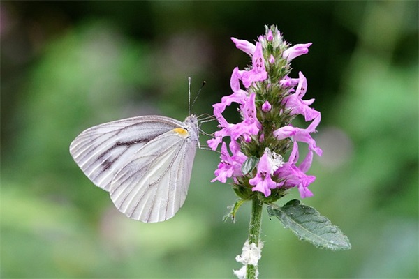 服装店促销广告语大全 服装店促销广告语(精选54句)