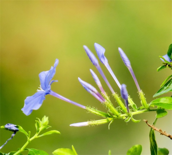 惊艳了世人的书摘文案短句(精选41句)