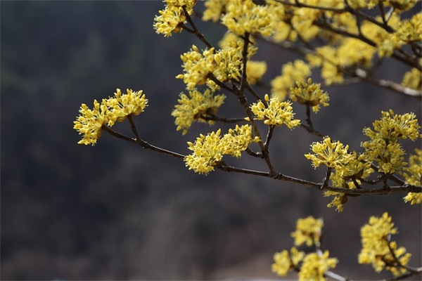 八个字阳光温暖的签名 适合女人的正能量签名