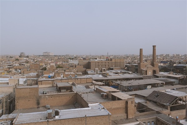 奇妙的动物世界(精选2篇)