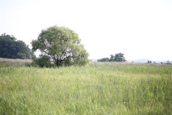 校园的一角(精选3篇)