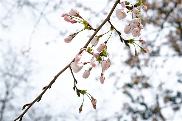 化工车间主任岗位职责(精选4篇)