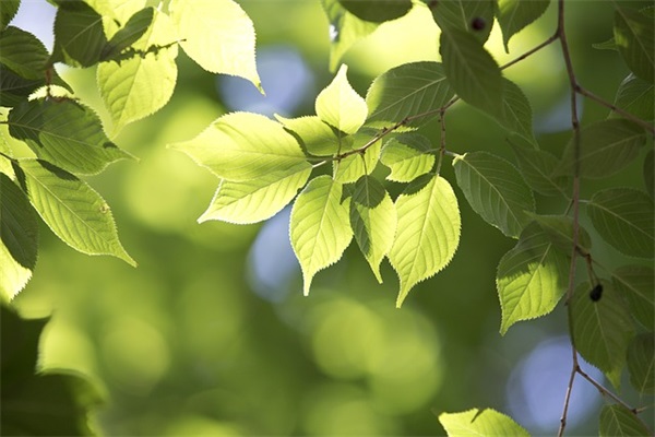 每日一句积极向上的话汇编 早安心语(精选35句)
