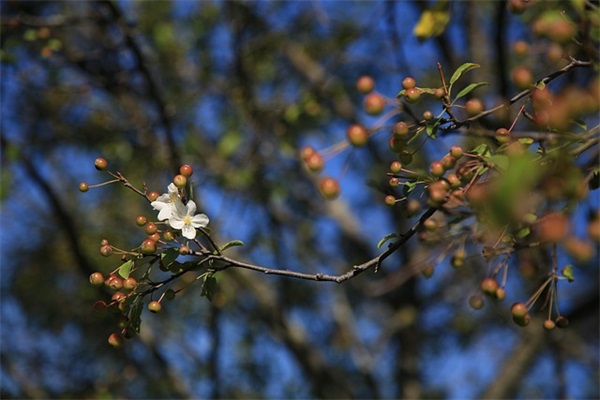 学校跑操比赛口号霸气押韵16字大全(精选50句)