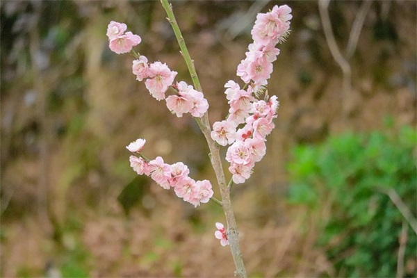 放不下一个人的个性签名(精选46句)