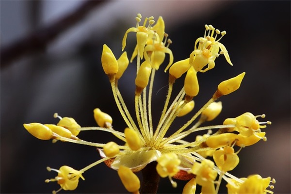 课间小游戏(精选3篇)