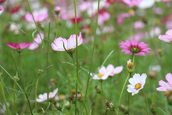 吃火锅发朋友圈的语句大全 天冷吃火锅发朋友圈的语句
