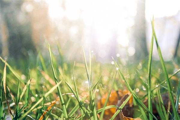 晒男朋友照片配的短句 晒男朋友照片配的短句微博