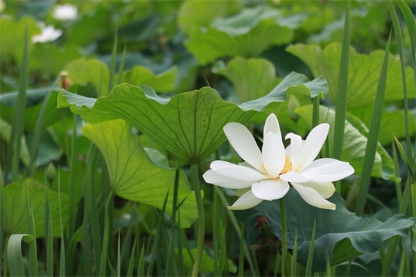 党课讲稿 奋力谱写新时代高质量发展新章(精选1篇)