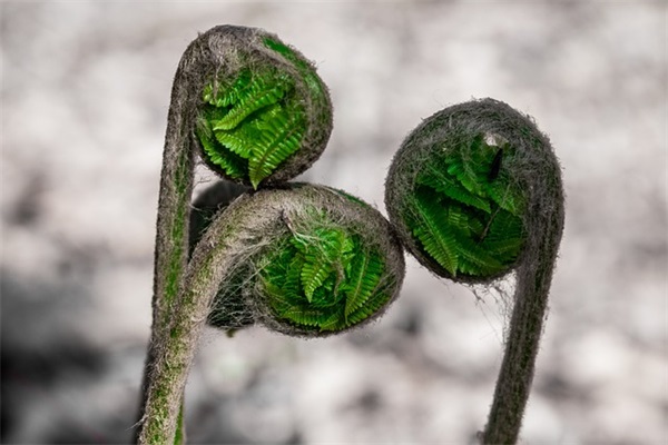 防溺水的语句大全 防溺水的语句有哪些(精选62句)