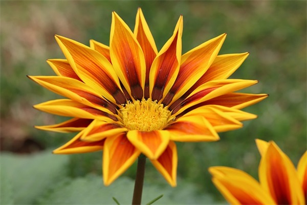 微信朋友圈龙虾广告词 麻辣小龙虾的宣传文案