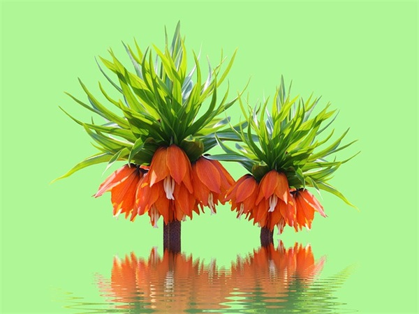 质量管理岗位职责范围(精选5篇)