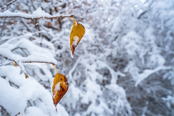 那次玩得真开心(精选4篇)
