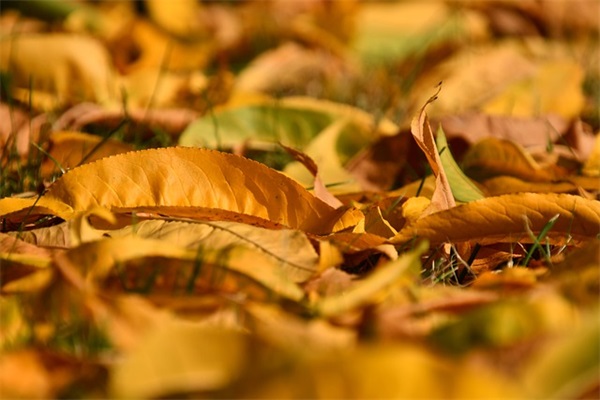 让人静心的经典禅语(精选33句)