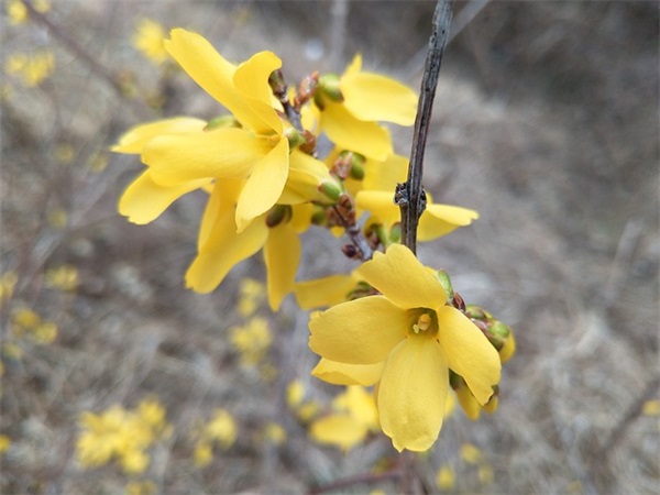 表白数字密码暗语 表白数字密码暗语数字(精选77句)