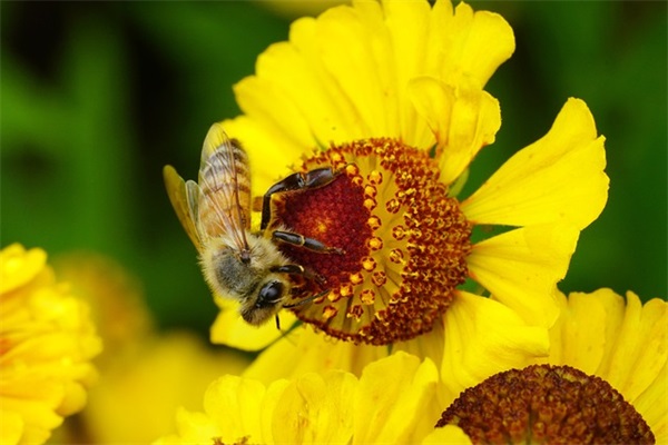 五一劳动节正能量文案简短 正能量励志文案简短