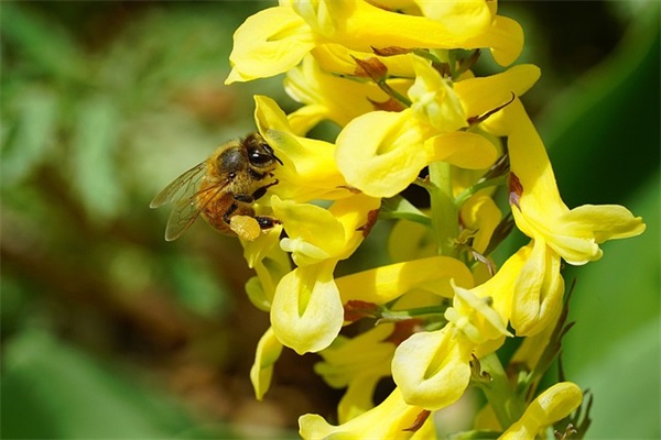 适合发朋友圈的好听文案汇总(精选29句)
