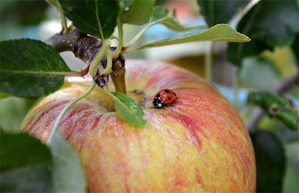 爱笑女生的个性签名 女生爱用的个性签名(精选46句)