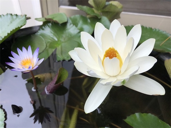 高级又沙雕的个性签名 笑死人的沙雕签名简短