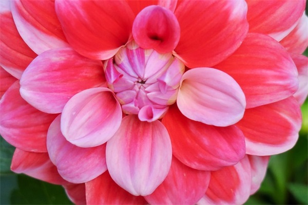 北方谚语有哪些 北方农家谚语有哪些(精选62句)