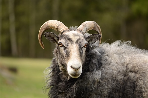 超市信息员岗位职责(精选3篇)