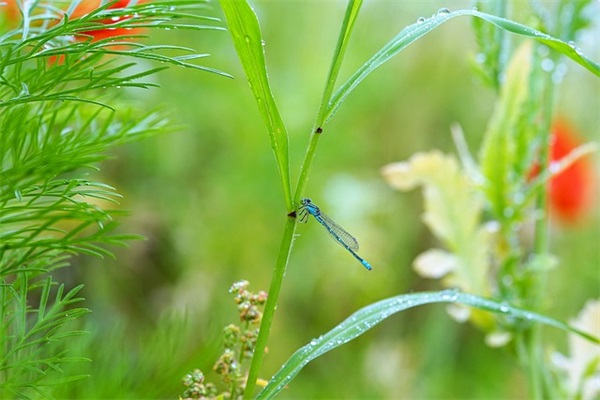 2024年物业工程经理岗位职责(精选4篇)