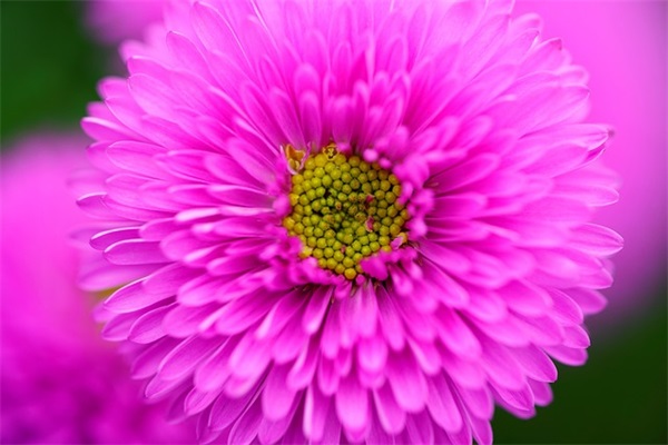 受伤发朋友圈的文案(精选32句)